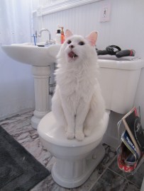 "Don't we have anything to read in here that isn't a bicycle magazine?"