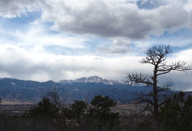 Pikes Peak as seen from the Yucca Flats dog-walking ghetto at Palmer Park.