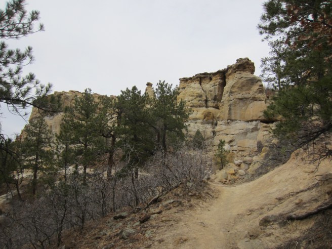 The northwest side of the Cheyenne Trail in Palmer Park.