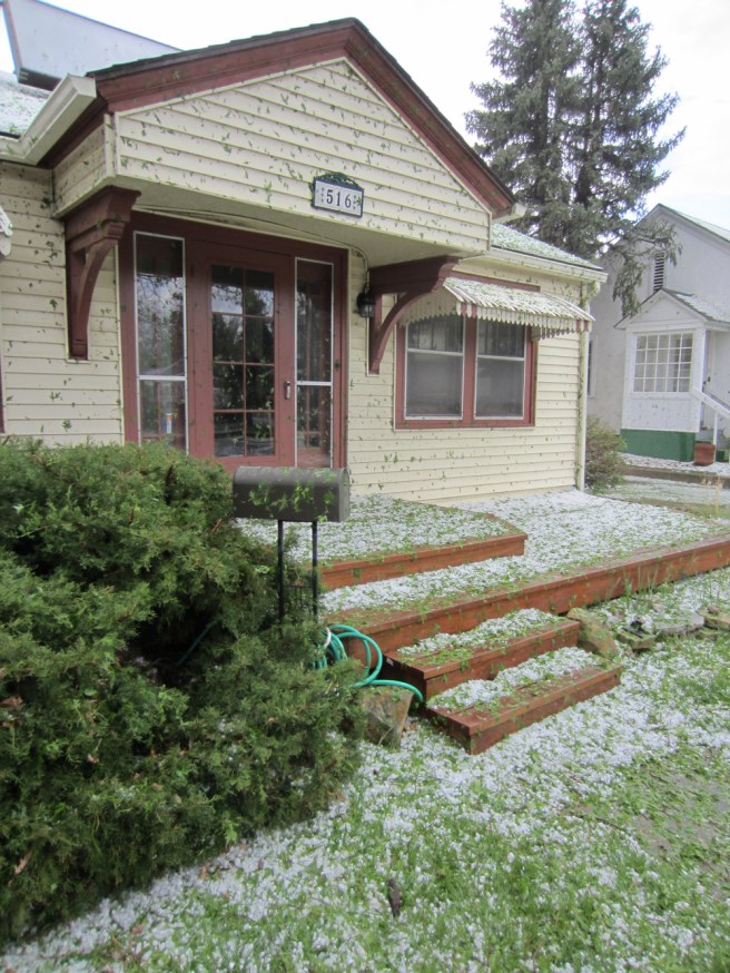 Hands down the worst hailstorm I've ever seen.