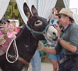 Hal and his burro Spike from back in the day. A real man would ski from Crusty County to Pueblo. With a burro. In the summertime.