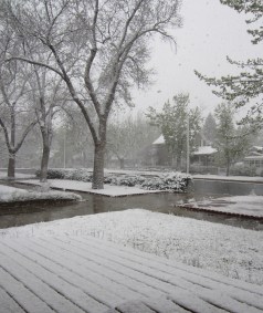 It was a mother of a Mothers Day at Chez Dog.