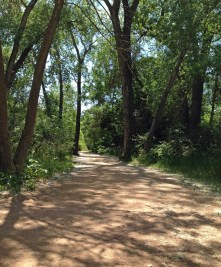 This stretch was one of the fast downhill bits of our old 'cross courses.