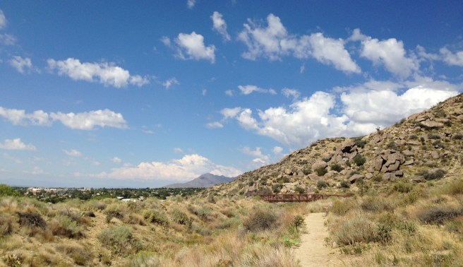 Looking north on Trail 365. Apparently the construction of some newish houses (not ours) required a detour via pavement to the west.