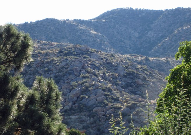 The view from the back yard at Rancho Pendejo.