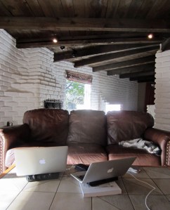 Mister Boo supervises my cycling coverage from the other side of the couch.