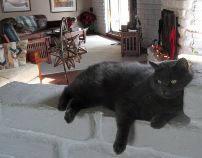 Mia decides to vogue a bit as Herself and I have a bite of lunch.