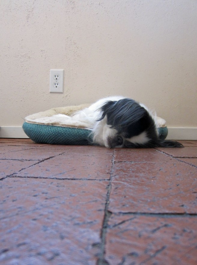 You only thought you knew how to sleep.