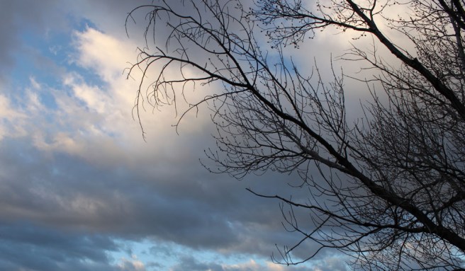 It's a gray morning in Duke City, and the wizards predict a chance of snow.