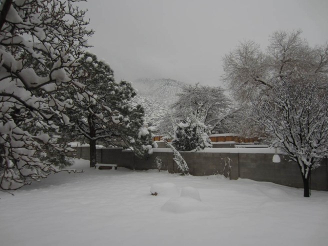 Yeah, we got a little snow. Why do you ask?