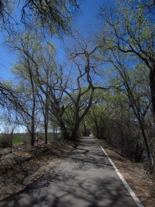 You find yourself on a nicely appointed bike path like this and the idea of turning around just seems wrong.