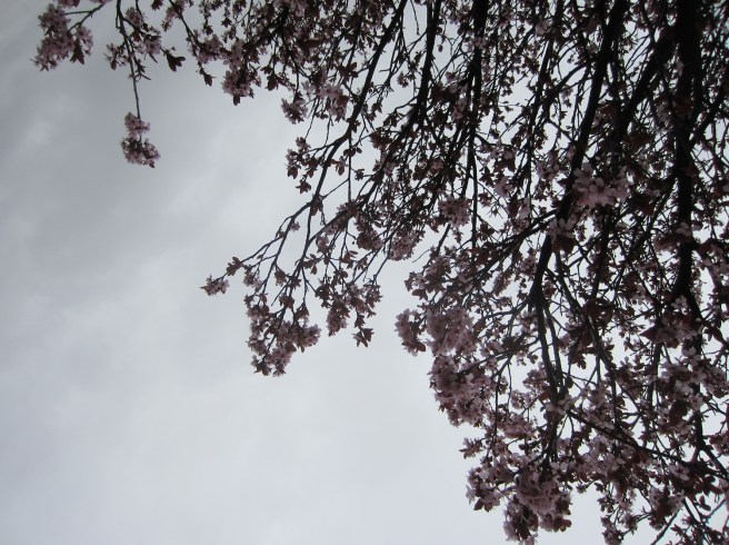 Not even Super Vivid mode helps this morning.