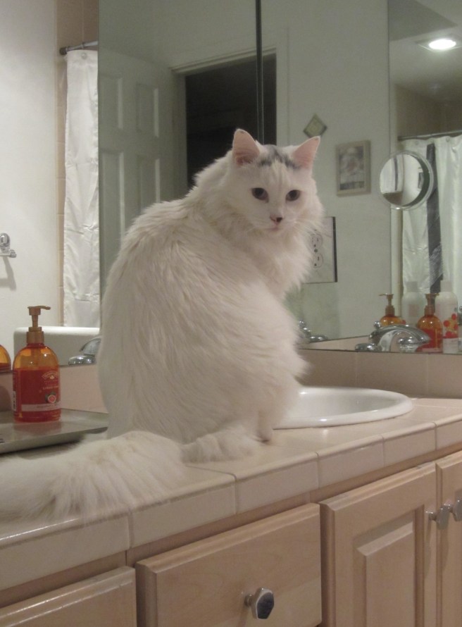 "Right, you lot, turn on the tap, your superior officer requires refreshment."