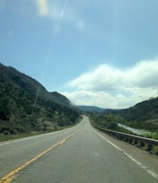 "Ask me the questions, bridge-keeper. I am not afraid."