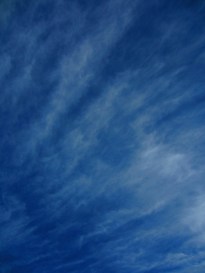 Time to exercise something other than my fingers on a keyboard.