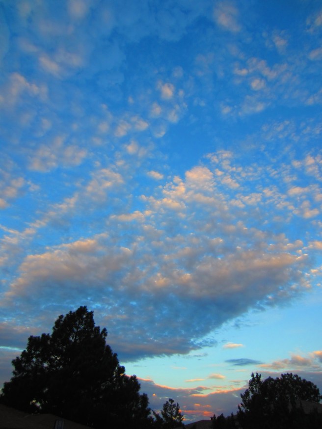 Well, it's morning in Albuquerque, anyway.