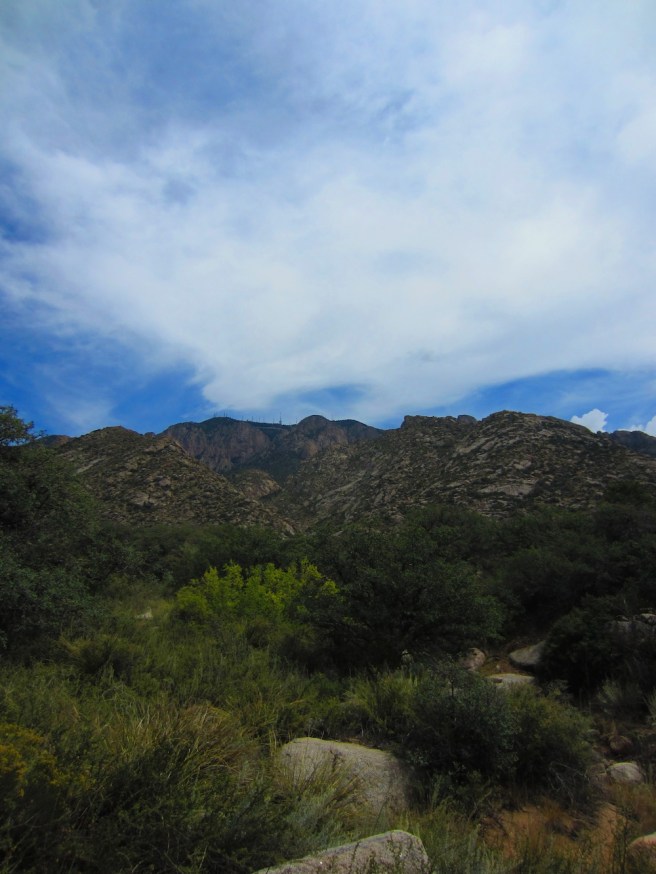 The Sandias from La Cueva Campground.