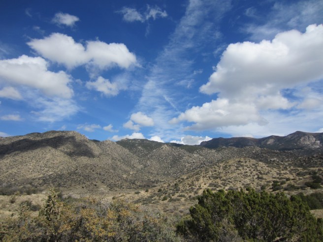 Looking northeast from Trail 365A, just above Embudo Dam.