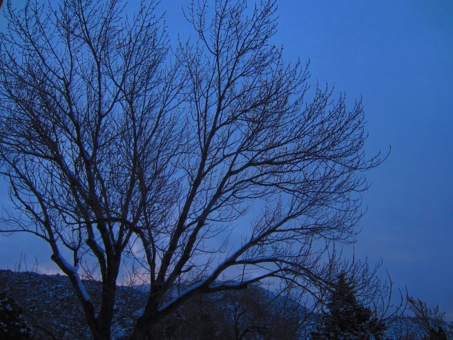 Looks like a god damn Tim Burton movie out there this morning.