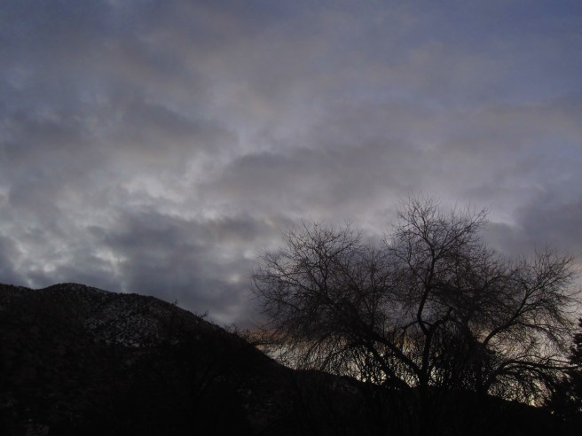 Woo hoo, break out the sunscreen!