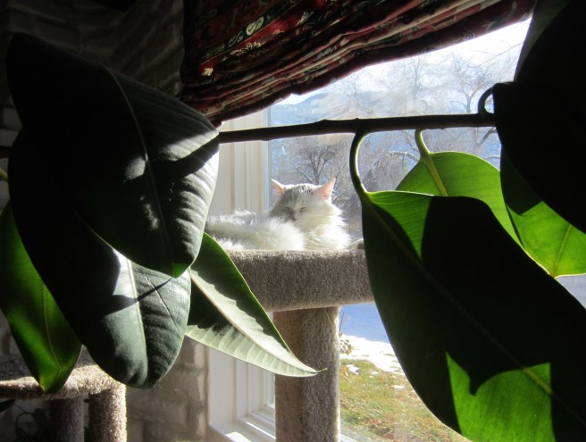 Never get out of the bed.