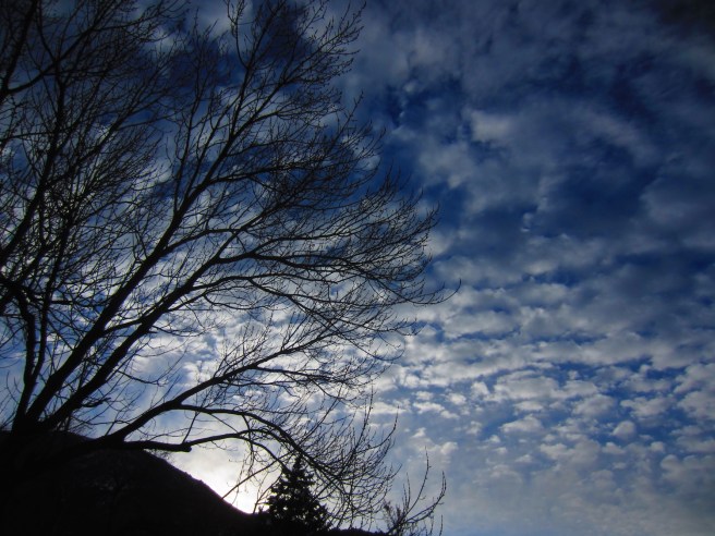 Nope, no snow up there.