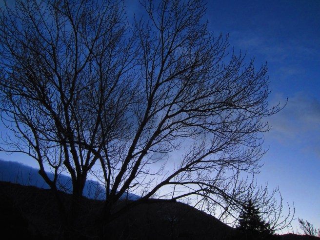 There's a slight chance of snow this morning. Doesn't matter, I'll be inside cooking chicken soup as a deterrent.