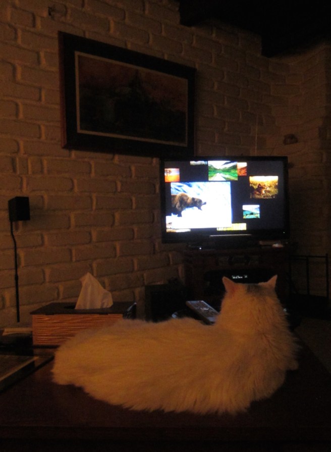 Gonna be the biggest, baddest bear ever. And then you'll be sorry.