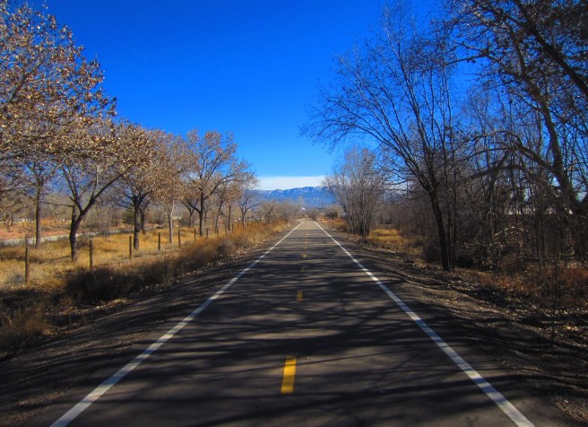 The bike paths in these parts are better than the roads in some of the towns I've lived in.