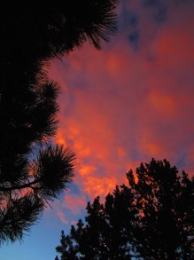 It's a beautiful morning.