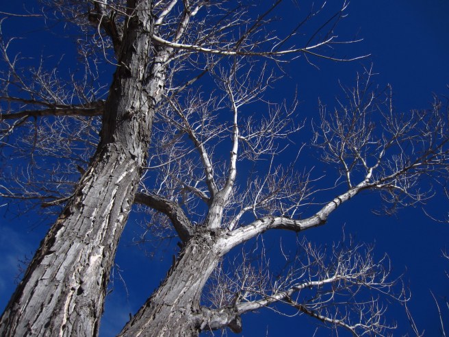 It was pleasant enough by afternoon to ride with knee warmers, but it ain't spring yet.