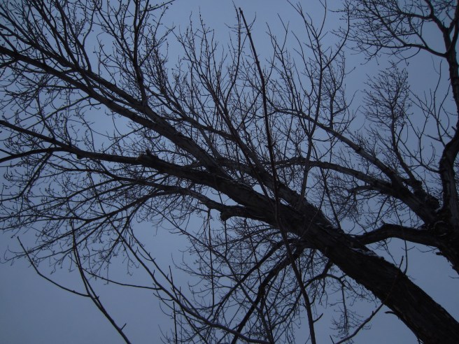 It was a dark and stormy ... morning?