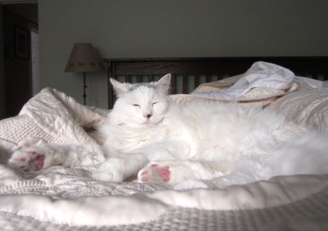 "Right, off you go."