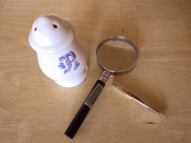 We report, you decide.