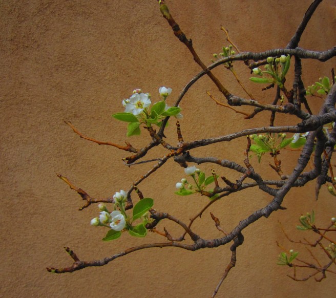 Why, hello there. ...