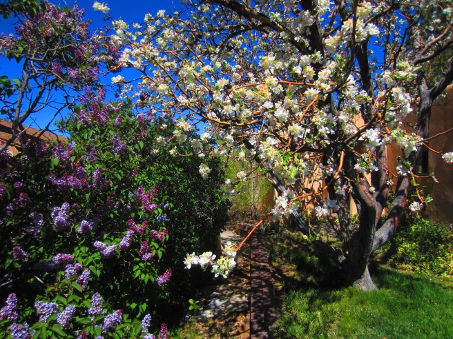 Maybe it's Woodstock. Did I take the brown acid again?