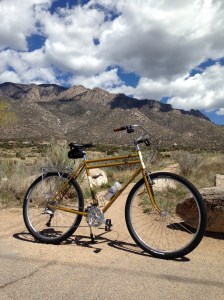 José Appaloosa enjoying the view from the upper end of Tramway.