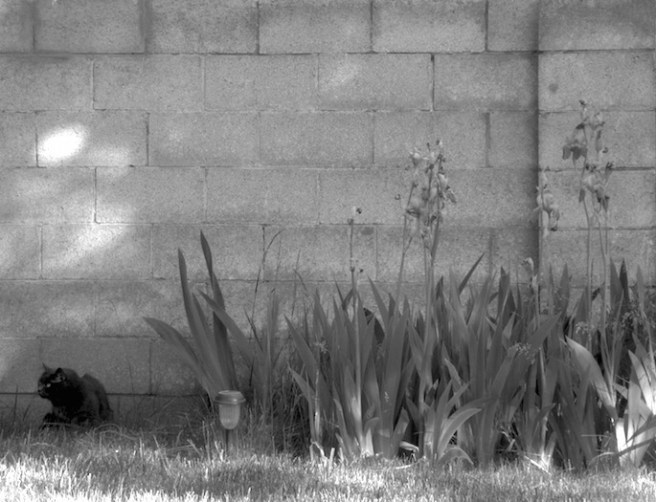 Life. Don't talk to me about life.