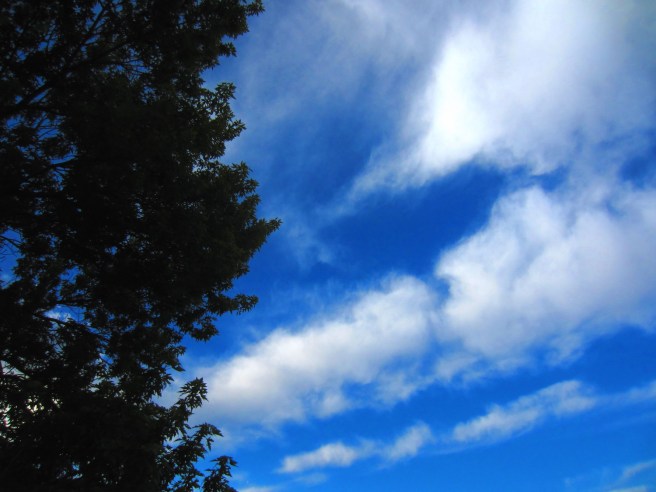 "There's more to life than a little money, you know. Don'tcha know that? And here ya are, and it's a beautiful day."