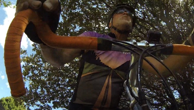 Can't see the forest for the trees.