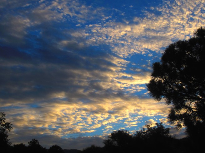 Oh, God, no, not another one of THOSE days.