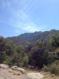 Near the top of the La Cueva picnic area.
