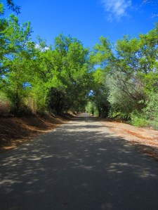 Southbound, en route to the Rio Bravo turnaround.