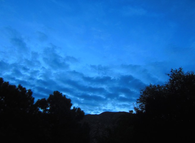 You see any pie up there? Yeah, me neither.