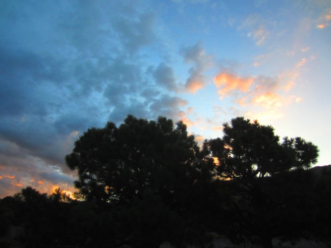 The weatherman expects welcome moisture through the weekend before the inevitable warming and drying trend resumes.