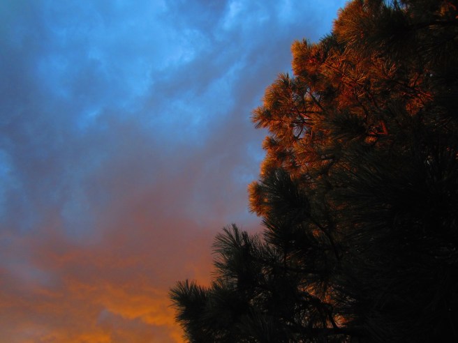 Good thing I gave up the acid before moving to New Mexico.