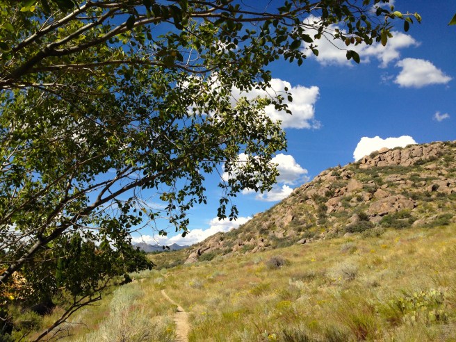 You'd never know it from this pic, but there's a suburban neighborhood just a few feet to the left of that tree.