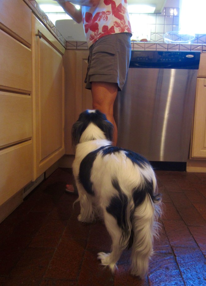 "Is that an apple? May I have some?"