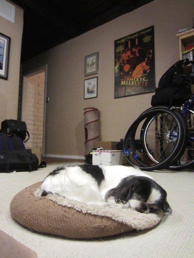 Mister Boo is overjoyed at the news of Herself's imminent return.