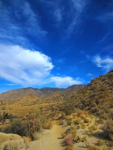 Looking north from near the top of the Hillsdale Loop. To the south sits Interstate 40, which is a good deal less scenic.